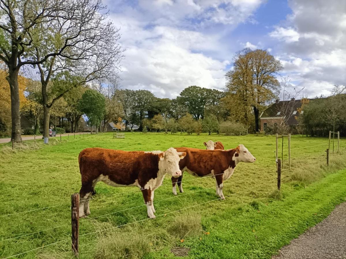 De Lindenhoeve Valthe Exterior foto